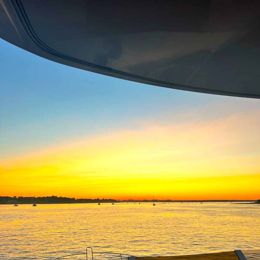 Meet your Posher, Rose